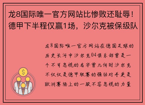 龙8国际唯一官方网站比惨败还耻辱！德甲下半程仅赢1场，沙尔克被保级队调侃，“04”成为笑柄 - 副本