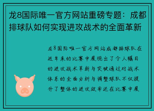龙8国际唯一官方网站重磅专题：成都排球队如何实现进攻战术的全面革新与突破