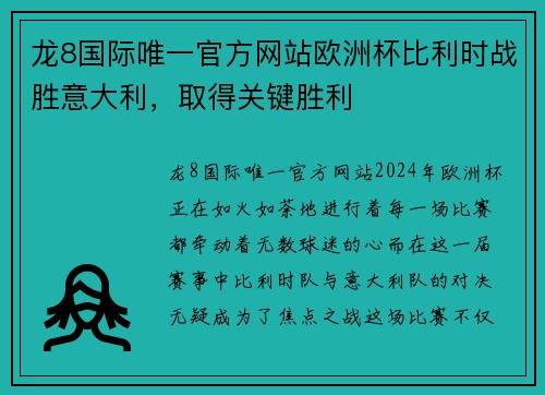 龙8国际唯一官方网站欧洲杯比利时战胜意大利，取得关键胜利