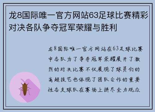 龙8国际唯一官方网站63足球比赛精彩对决各队争夺冠军荣耀与胜利
